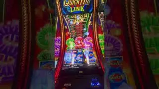 Wow quick Hit slot amazing win 🤣😍