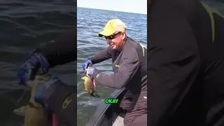 Fishing🪝HACK for sharp hooks