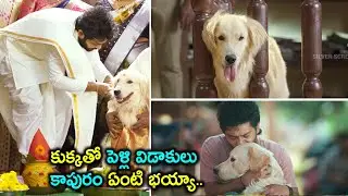 Slum Dog Husband Movie Official Trailer || Sanjay Rrao, Pranavi Manukonda || A.R. Sreedhar