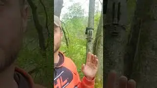 Spring Trail Camera Tip