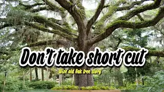THE WISE OLD OAK TREE - A PATH TO LIFE'S INSPIRATION | POWERFUL ENGLISH STORY