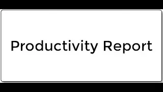 Productivity Report