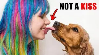 This Is The REAL Reason Why Dogs LICK You (And It&rsquo;s Pretty Gross)