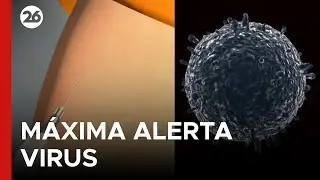 🔴 AHORA - EEUU | Preocupación por la Influenza: aumenta el riesgo de fiebre alta y complicaciones