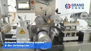 DPP260GII Aluminum PVC Aluminum Capsule Automatic Blister Packing Machine Box Cartoning Line