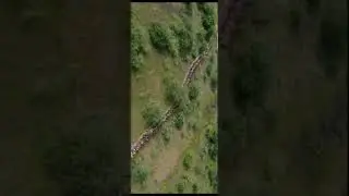 karnan heroin intro