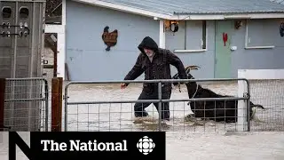 Destructive rainfall the latest in year of weather extremes for B.C.