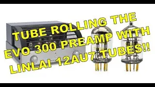 Ламповый предусилитель Primaluna Evo 300 с лампами Linlai 12AU7! Как они звучат?