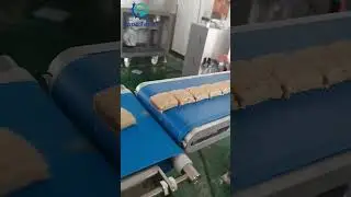P188 Fig bar Cookie date bar with fillings making machine #shorts