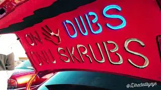 Trunks and slab filmed by @directedbyeye