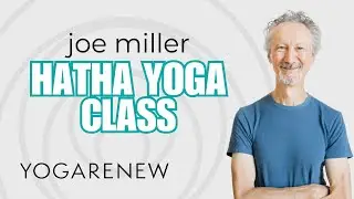 Hatha Yoga Class with Joe Miller | YogaRenew FREE Yoga Class