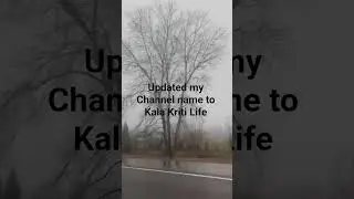 Fog❄️❄️❄️ #like #share #subscribe #updates #youtubeshort #travel #fog #journey
