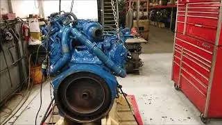 2006 International VT365 engine