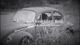 Blue Volkswagen Bug