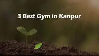 3 Best Gym in Kanpur, Uttar Pradesh 2025 | Fitness center
