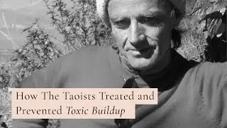 How The Taoists Treated and Prevented Toxic Buildup