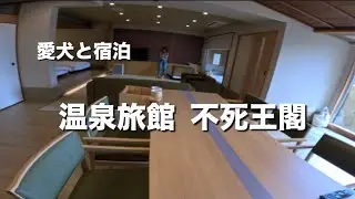 宿泊費公開します🐶