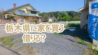 栃木県に家を買う？借りる？物件探し始まる。ゴールデンレトリバーティト