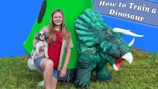 Assistant Teaches You How To Train Your Dinosaur