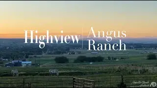 2024 Highview Angus Ranch Breeding Project