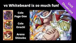 vs Whitebeard slams down! Absurd vs special! OPTC Showcase - Colo Page One + Orochi, Arena Shinobu