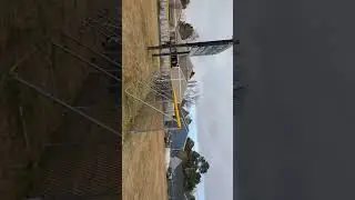 Golden Trio on the Run