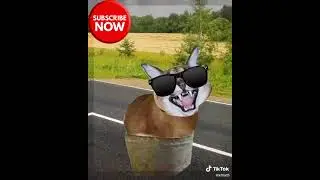 🐍&bull; 🅚🅞🅡🅐 &bull;🐍 - 3 день после скачивания алайта #brawlstarsmemes #brawlstarstips #brawlstarspam