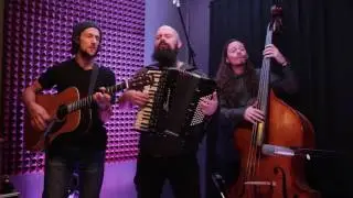 Forkroot - Coyotes at the Dump (studio session)