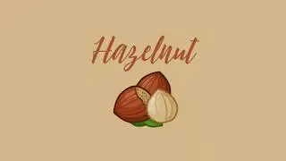 Lofi Chill with Hazel 🌰