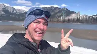 Spring birds in the Canadian Rockies (Lac des Arcs)