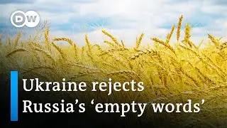 Russia says it 'will allow' Ukraine to export its grain | DW News