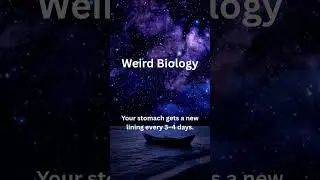 Weird Biology #facts #animals #youtubeshorts #wildlife