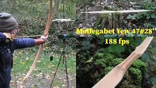 Mollegabet Yew Bow 188 fps
