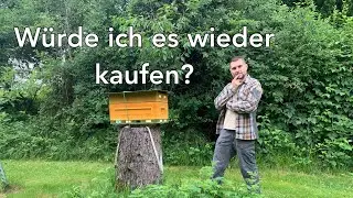 4 Königinnen in einer MiniPlus