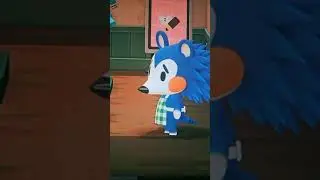 Animal Crossing's Most Hilarious Custom Maps! #103