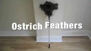Extenable Feather Duster- MK Londyn