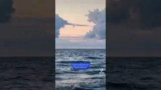 А что увидели вы? #skypic #skydiving 🌥️🌊✨