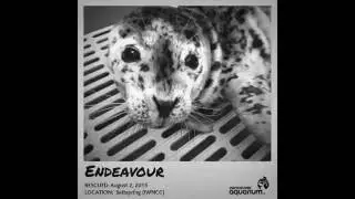 Marine Mammal Rescue Centre: Seal Pups