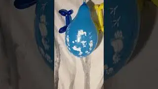 Pump to Pop Cattex 12 Inch Balloon Domestic Animals Dogs Cats Birds #balloonpop #balloon #balloons