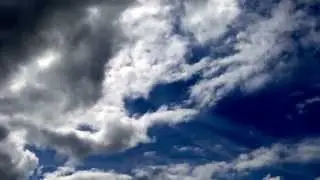 Raven making a strange clunk sound when tumbling with folded wings in the air.