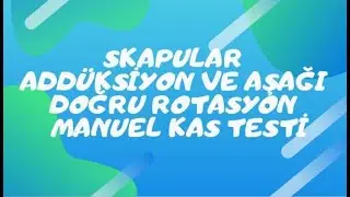 SKAPULAR ADD&Uuml;KSİYON VE AŞAĞI DOĞRU ROTASYON MANUEL KAS TESTİ