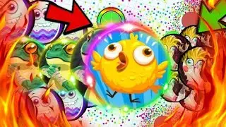 Kurd clan vs TR clan who is gonna win? (Agario Mobile)