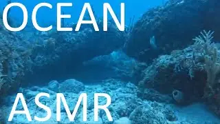 Underwater ASMR - sounds of the ocean reef around the Benwood ship wreck, off the coast of Key Largo