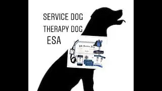 Registering My Service Dog (It's So Easy!)