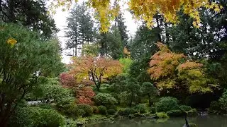 Meet the new CEOs of Portland's Japanese Garden | KOIN Conversations