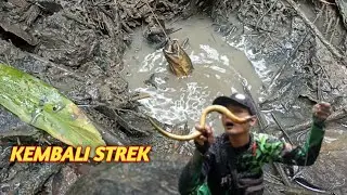 KEMBALI STREK!!!, MANCING BELUT SEBESAR INI