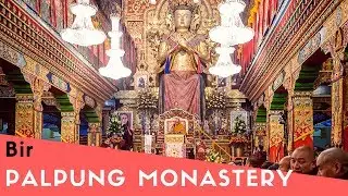 Palpung Sherabling | Nyingma | Tsering Jong |  Monetary | himachal | Harwinder Singh Rupal | EP 8