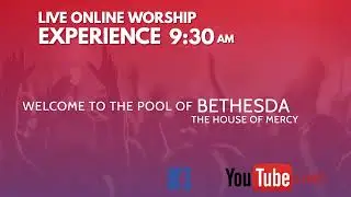BCC Worship Experience(Palm Sunday)