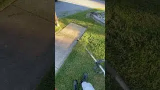 Straight cuts😍 #lawncare #edging