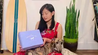 Rescue Pup&rsquo;s Review of the June Dapper Dog Box! UnBoxing Video